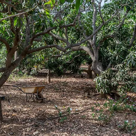On An Organic Farm By The Coast,