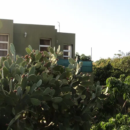 On An Organic Farm By The Coast, 弗龙特拉