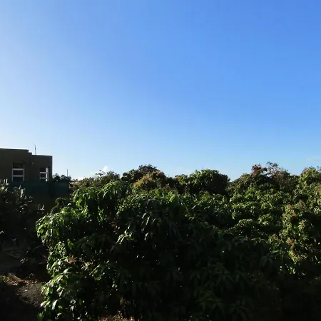 On An Organic Farm By The Coast, 弗龙特拉