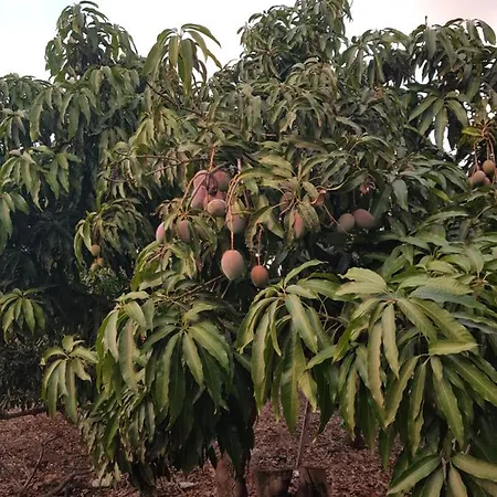 On An Organic Farm By The Coast,