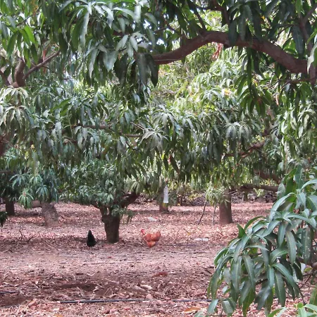 On An Organic Farm By The Coast, 度假居 *